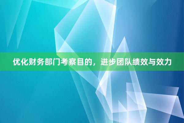 优化财务部门考察目的，进步团队绩效与效力