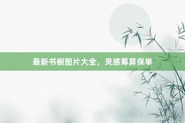 最新书橱图片大全，灵感筹算保举