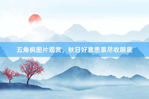 五角枫图片观赏，秋日好意思景尽收眼底