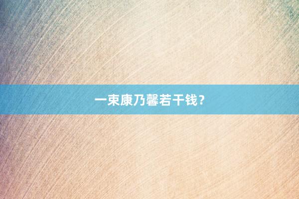 一束康乃馨若干钱？